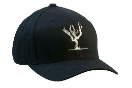 Brian Arden Logo Flex Fit Cap