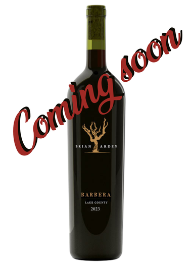 2023 Barbera